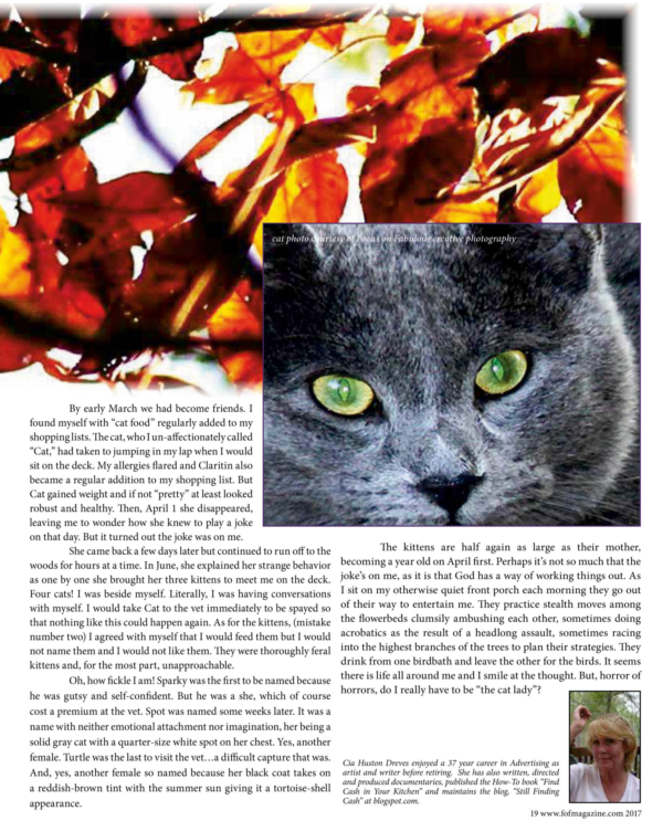 Fall 2017- pg 19